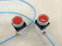 dual palm controls for pneumatic press