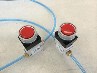 dual palm controls for pneumatic press